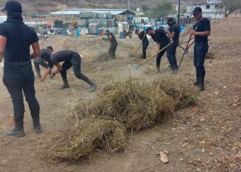 Efectúan limpieza de brecha en alrededores del Complejo de Precursores Químicos
