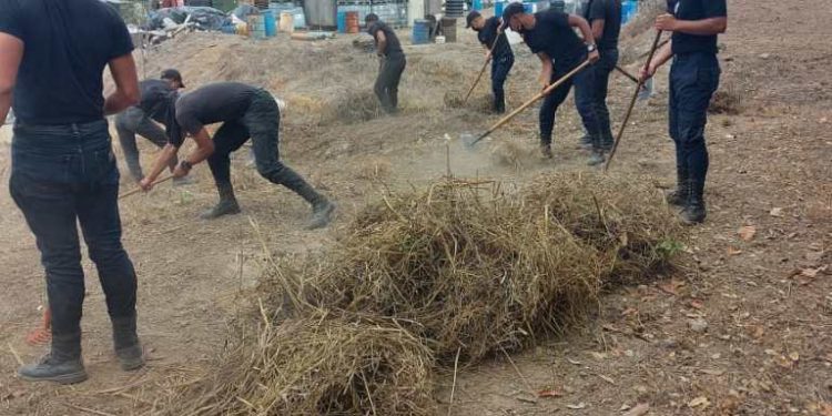 Efectúan limpieza de brecha en alrededores del Complejo de Precursores Químicos