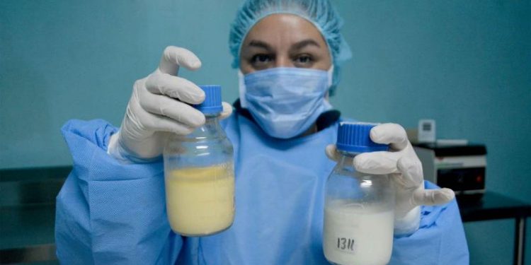 Leche materna: autoridades invitan a donar y apoyar a recién nacidos