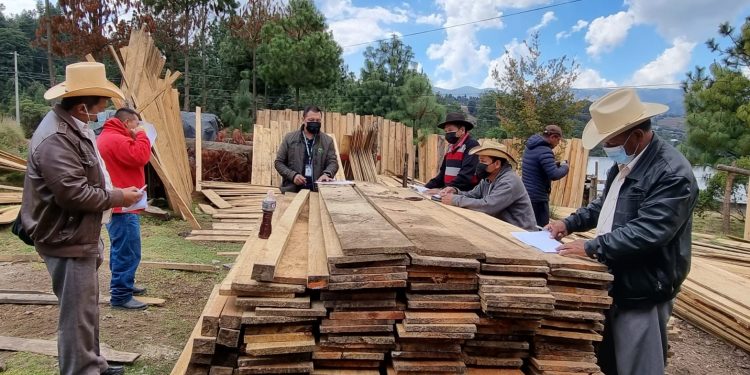 Inab capacita a empresarios del sector forestal