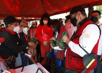El mandatario Alejandro Giammattei hizo un recorrido en la Escuela Técnica de Campo para Alimentación Escolar de San Juan Cotzal, Quiché.