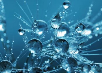 Identifican gen que causa la leucemia linfocítica crónica sin mutar