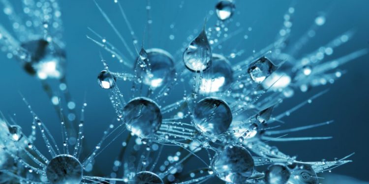 Identifican gen que causa la leucemia linfocítica crónica sin mutar