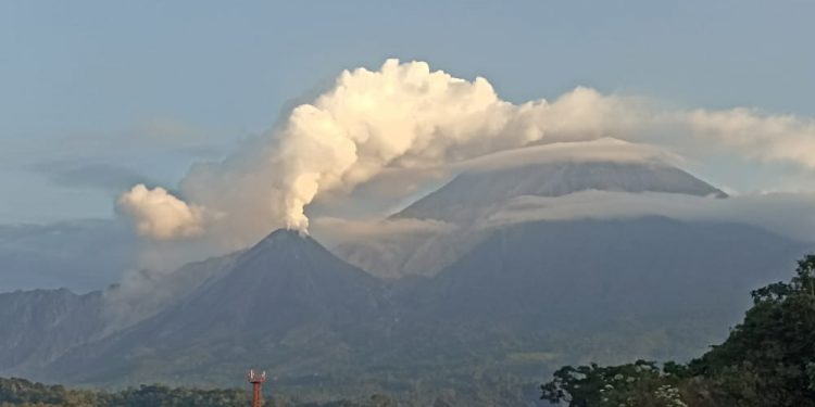 Volcán Santiaguito mantiene descenso de flujos piroclásticos