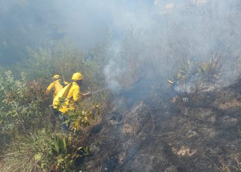 En las últimas horas se combatieron siete incendios forestales