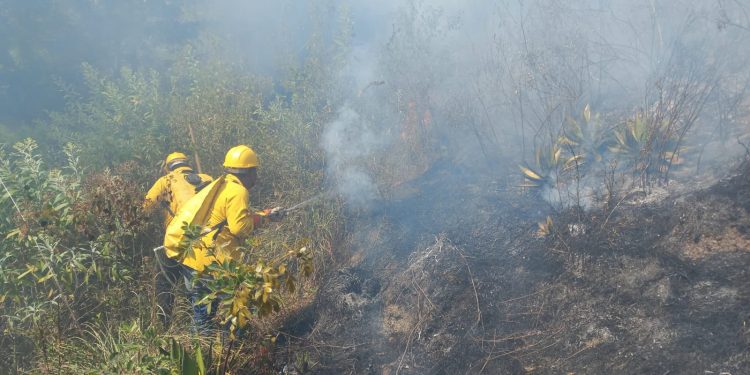 En las últimas horas se combatieron siete incendios forestales