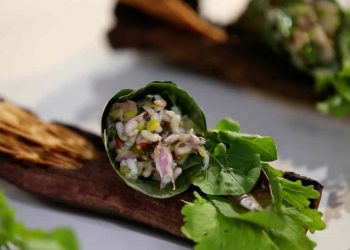 Presentan nueva propuesta para reducir la huella de carbono