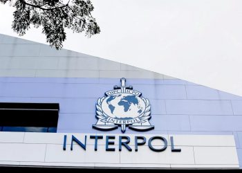 Interpol incrementa su lucha contra los delitos financieros
