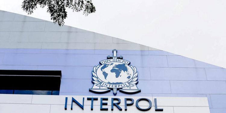 Interpol incrementa su lucha contra los delitos financieros