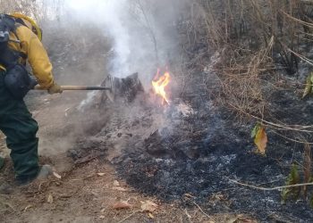 Cuerpos de socorro mantienen acciones para atender los incendios forestales.