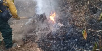 Cuerpos de socorro mantienen acciones para atender los incendios forestales.
