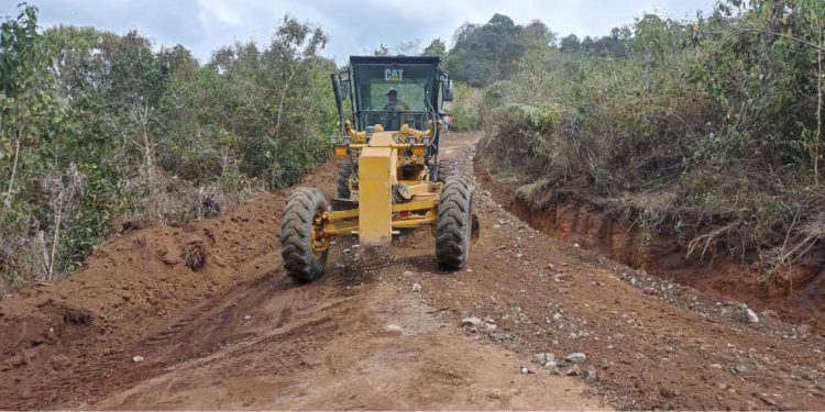 Rehabilitación de caminos rurales.