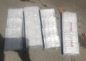 Antinarcóticos de PNC allana inmueble en zona 11 capitalina