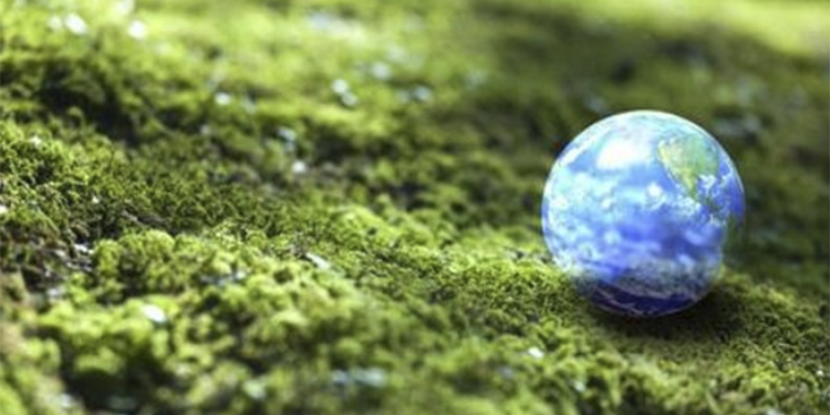 Científicos del MIT advierten que la guerra frena avances en descarbonización