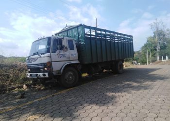 Localizan a 78 migrantes que eran trasladados en camión