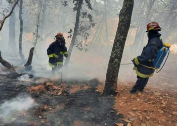 Emiten recomendaciones para prevenir y actuar ante incendios forestales
