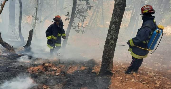 Emiten recomendaciones para prevenir y actuar ante incendios forestales