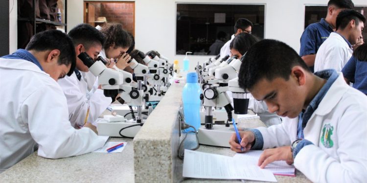 Guatemala contará con el primer centro de modernización agrícola de Latinoamérica