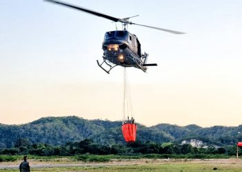 El Ejército mantiene el compromiso de efectuar tareas para el combate de incendios forestales.