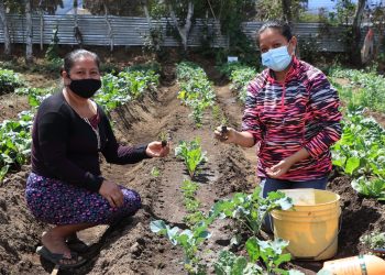 MAGA impulsa huertos comunitarios en Chimaltenango