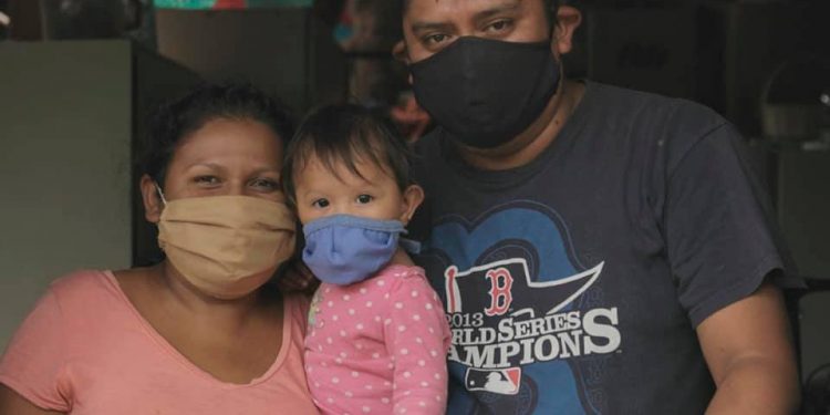 Estos son los cuatro ejes estratégicos de la Política Pública de Protección a la Vida y la Institucionalidad de la Familia