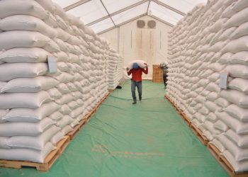 MAGA da a conocer Programa de Reservas Estratégicas de Granos Básicos