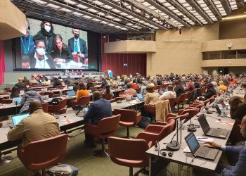 Guatemala participa en diálogo sobre nuevo marco para la diversidad biológica