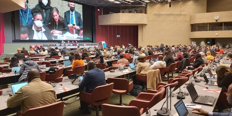 Guatemala participa en diálogo sobre nuevo marco para la diversidad biológica