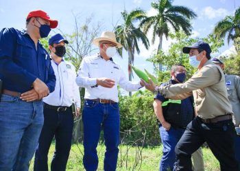 Impulsan producción de semillas mejoradas para combatir inseguridad alimentaria