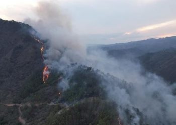 Continúa combate de incendio forestal en Cerro Huexqué
