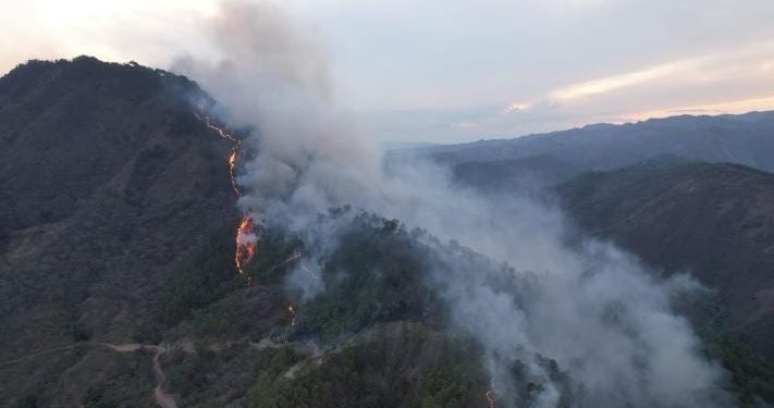 Continúa combate de incendio forestal en Cerro Huexqué