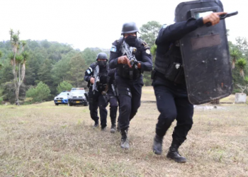 Tiradores de alta precisión, en continua capacitación para operativos