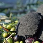 Ya en la Edad de Piedra el ser humano utilizaba aceitunas como combustible