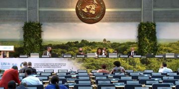 Guatemala participa en Asamblea de Naciones Unidas sobre Medio Ambiente