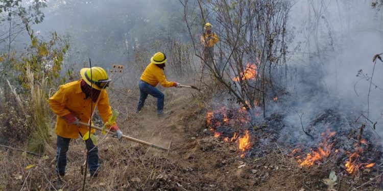 Conred mantiene acciones contra incendios forestales en Totonicapán