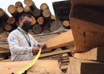 Inab verifica empresas forestales de San Marcos