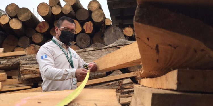 Inab verifica empresas forestales de San Marcos