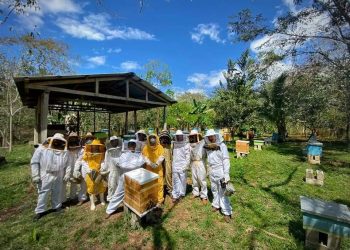 MAGA impulsa producción de miel en Petén