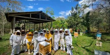 MAGA impulsa producción de miel en Petén