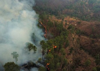 Autoridades reiteran llamado a prevenir incendios, ante muerte de bombero forestal