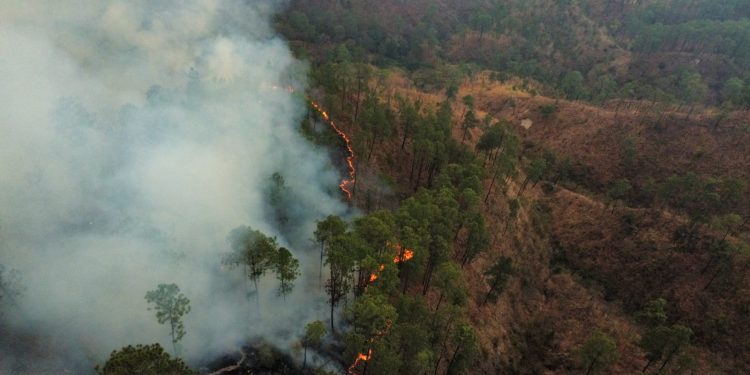 Autoridades reiteran llamado a prevenir incendios, ante muerte de bombero forestal