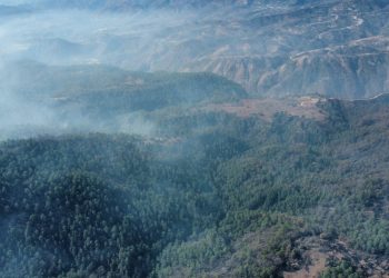Extinguen incendio forestal en Chiché