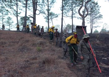 Acciones interinstitucionales permiten sofocar incendio forestal