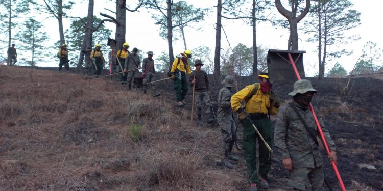 Acciones interinstitucionales permiten sofocar incendio forestal