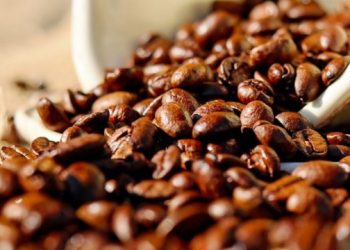 Exposición de fotos reveladas con café retrata caficultura en Centroamérica