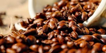 Exposición de fotos reveladas con café retrata caficultura en Centroamérica