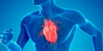 Una nueva ecografía identifica con precisión el daño cardiovascular en sanos