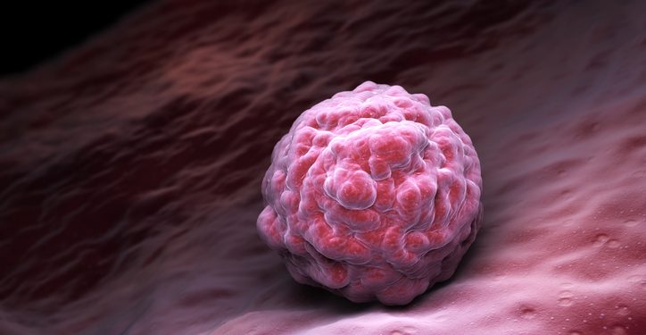 Estudio predice el riesgo de enfermedad común en embrión fecundado