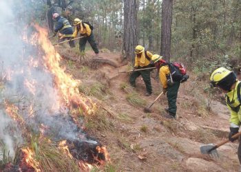 Continúa combate de incendios forestales en Chimaltenango y Quiché