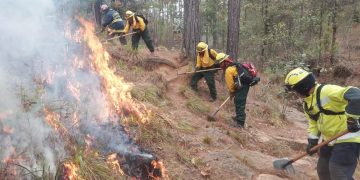 Continúa combate de incendios forestales en Chimaltenango y Quiché